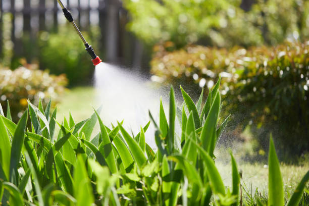 24/7 Emergency Mosquito Control experts in Kaloko, HI
